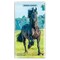 BrownTrout; Horse Lovers | 2027-2028 3.5 x 6.5 Inch Two Year Monthly Pocket Planner Calendar; Category:Planners; Image:2